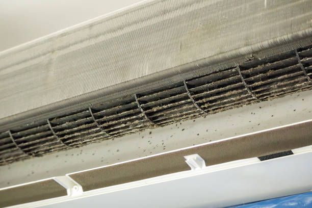 Best Air Vent Cleaning Services  in Bealeton, VA
